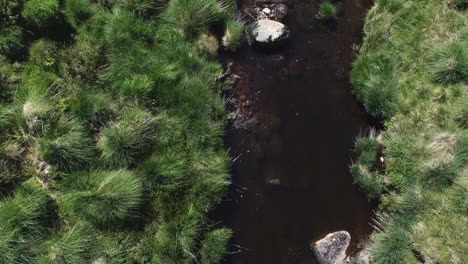 Vogelperspektive,-Luftaufnahme-Eines-Felsigen-Flusses,-Der-Flussabwärts-Folgt,-Umgeben-Von-Grasbewachsenem-Moorlaub,-Sonne-Im-Spiegelbild-Des-Flusses,-Dartmoor,-England