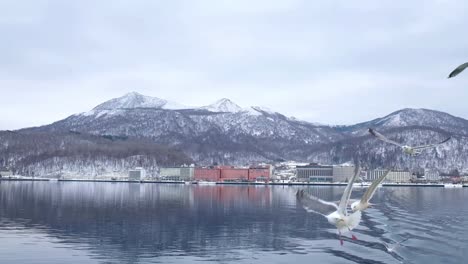 Bootsfahrt-Auf-Dem-See-In-Hokkaido,-Leute,-Die-Die-Möwen-Füttern