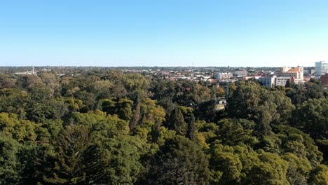 A-push-up-drone-shot-of-trees-at-a-city-park-under-sunny-conditions