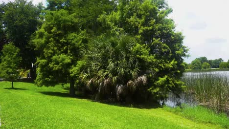 Vista-Del-Parque-Que-Está-Al-Lado-Del-Estadio-Deportivo-En-Orlando,-Florida