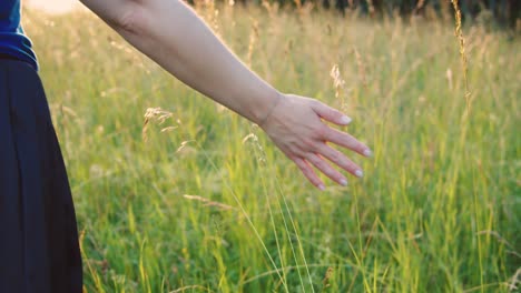 Woman-walks-through-summer-field---Strokes-her-hand-over-flowers---Slow-Motion