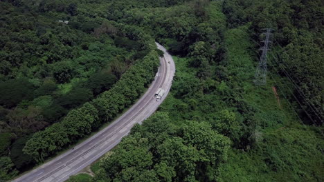 passing-through-the-serene-lush-greenery-and-foliage-tropical-rain-forest-mountain-landscape