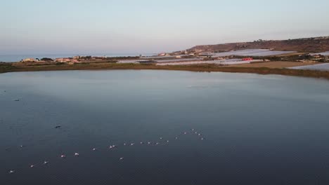Drone-clip-from-above-of-Pink-Flamingos-flying-over-the-waters-of-Vendicari-Natural-reserve,-Sicily,-Italy