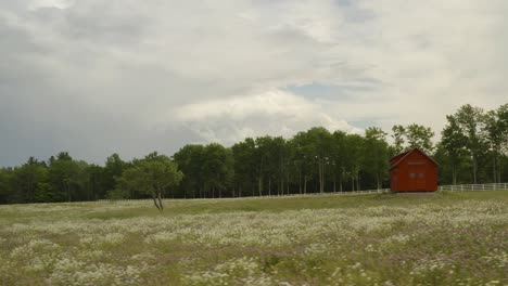 Ein-Einzelner-Baum-Und-Eine-Hütte-Stehen-Inmitten-Von-Wildblumen-In-Einem-Brachliegenden-Feld,-Orbitantenne