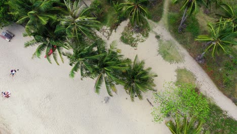 Wunderschöne-Palmen-Mit-Grünen-Blättern,-Die-über-Dem-Weißen-Sand-Eines-Exotischen-Strandes-Im-Garten-Eines-Ferienresorts-In-Thailand-Hängen