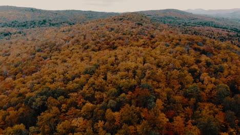 Drone-shot-of-mountain-is-covered-in-trees-during-autumn