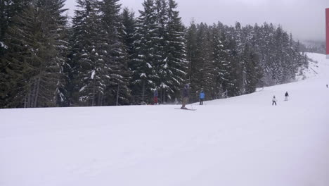 Touristen,-Die-Im-Winter-Auf-Einem-Weißen,-Eisigen-Feld-In-Whistler,-Kanada,-Ski-Fahren---Weitwinkelaufnahme