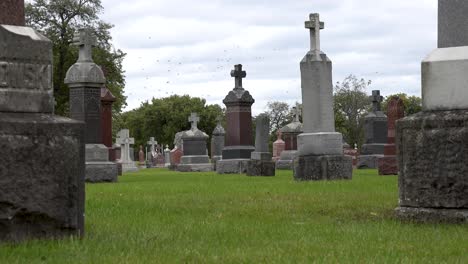 cemetery-headstones-under-gray-clouds-4k