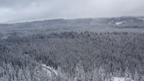 Aerial-of-a-dense-forest-covered-in-snow