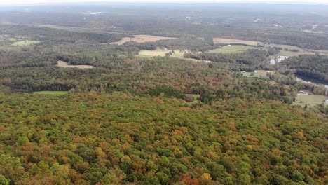 forest-leaves-changing-in-fall-season-aerial-drone-tilt-reveal-georgia-united-states