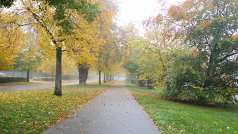 Herbstbäume-Avove-Vorortstraße
