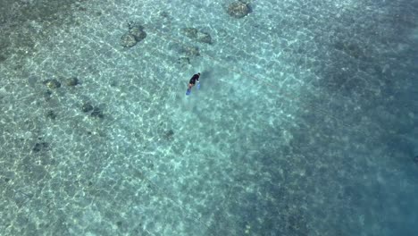 Mann-Im-Taucheranzug-Erkundet-Die-Unterwasserwelt-Mit-Taucherbrille-Bei-Sonnenschein-Im-Transparenten-Ozean