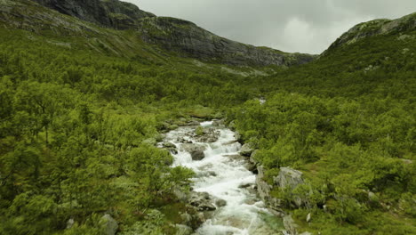 Rocky-Stream-Flowing-Down-The-Norwegian-Mountains-Surrounded-By-Green-Plants-In-Hydalen-Valley,-Hemsedal,-Norway