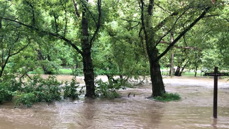 A-flash-flood-caused-by-heavy-rains-causes-a-tree-to-uproot-on-the-banks-of-Rock-Creek,-in-Rock-Creek-Park-near-Pierce-Mill