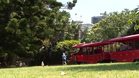 Pequeño-Tren-Con-Turistas-En-El-Jardín-Botánico-Real,-Sydney,-Australia