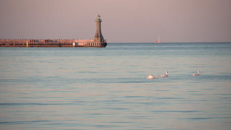 Lighthouse-On-Groin-At-The-Entrance-To-Gdynia-Harbor-In-Poland-With-Swans-Floating-On-Water-Surface-In-Foreground