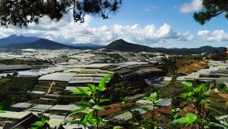 Terraced-fields-and-greenhouses-at-Da-Lat-agricultural-area,-Vietnam