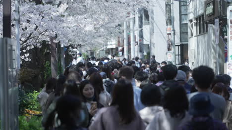 Riesige-Menschenmenge-Besucht-Hanami-Trotz-Der-Pandemie-In-Tokio,-Japan