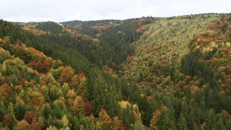 Luftaufnahme-Einer-Straße,-Die-Sich-Durch-Den-Bergwald-Schlängelt,-Herbstsaison,-Schöne-Bunte-Landschaftsvorlage,-Kopierraum,-Rumänien