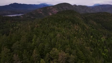 Reveal-aerial-shot-of-forest-on-Pender-Hill-in-British-Columbia