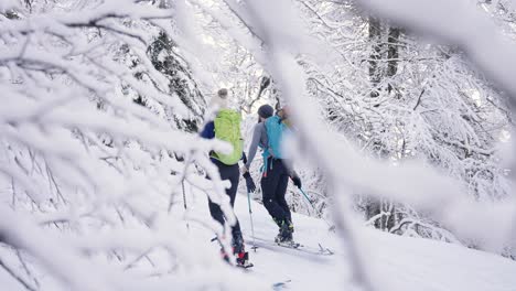 Two-skier-people-on-adventure-through-enchanted-snow-forest