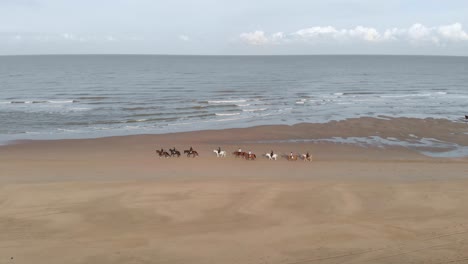 Antena:-Jinetes-En-La-Playa,-Paseos-Ecuestres-En-La-Arena-Con-Olas-De-Mar-Detrás