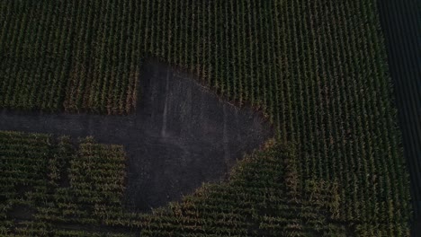 rise-up-drone-shot-of-manmade-arrow-cut-out-in-corn-field