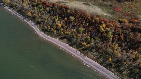 Colourful-autumn-foliage-along-shoreline-of-Buffalo-Lake-in-Canada