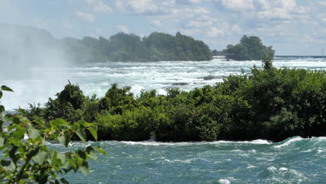 Niagara-Falls-In-Canada-United-States-Border---Green-Plants-Growing-In-Niagara-River-With-Horseshoe-Falls-In-Background