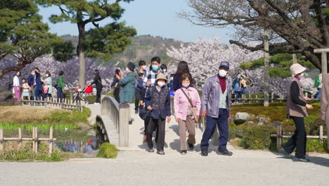 Lugareños-Con-Máscaras-Visitando-Uno-De-Los-Tres-Mejores-Jardines---Jardín-Kenrokuen-En-Kanazawa,-Ishikawa,-Japón