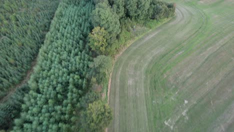 Vuelo-De-Drones-Sobre-El-Bosque-En-Dinamarca