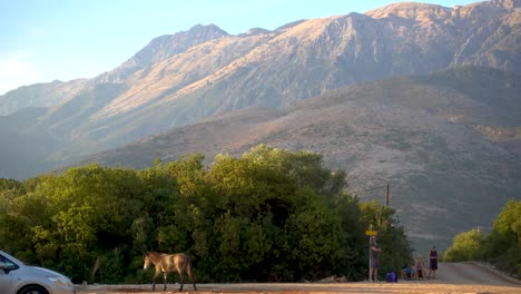 Típico-Paisaje-Rural-Con-Burro-Caminando-Frente-A-Altas-Montañas-Y-Turistas