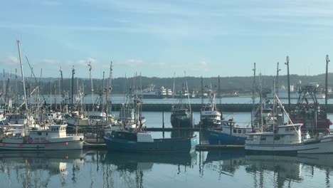 Boote-Zum-Verkauf-Im-Hafen-Von-Newport-In-Oregon