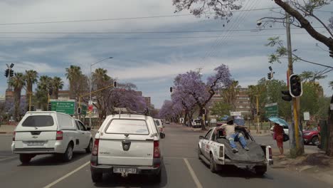 Driving-through-an-intersection-where-traffic-lights-aren't-working,-street-lined-with-Jacaranda-trees,-POV-shot