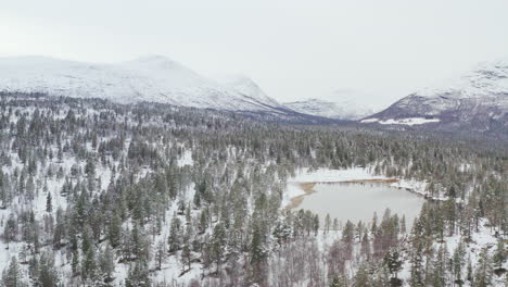 Thick-Forest-With-Lake-And-Mountainscape-In-Background-During-Snowy-Winter-At-Innlandet-county,-Dovre,-Norway