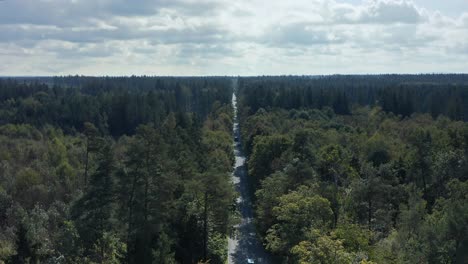 Riding-at-a-long-straight-road-framed-by-moody-looking-trees-in-the-fall-season,-4K-aerial-drone-shot