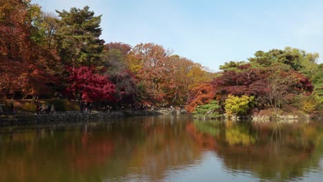Estanque-Chundangji-En-Otoño-Parque-Del-Palacio-Changgyeonggung,-Seúl,-Corea-Del-Sur