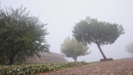 Nebelbedeckte-Bäume,-Die-Im-Wind-Im-Dorf-Marvão-Wehen