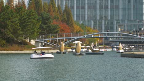 Gente-Coreana-Navegando-En-El-Parque-Central-De-Incheon-Songdo-En-Otoño-Usando-Barcos-Familiares-Y-Catamaranes-Lunares-En-Otoño,-Corea-Del-Sur