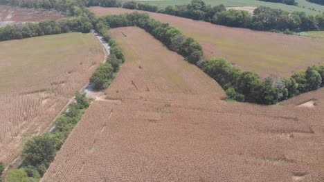 Campos-De-Cultivo-Industria-Agrícola-Paneles-Solares-Caminos-Forestales-Georgia-Drone-Aéreo
