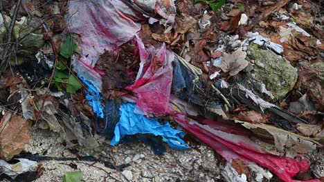 Alte-Rote-Und-Blaue-Plastikstoffe-Verschmutzen-Den-Wald,-Nahaufnahme
