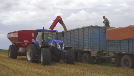 A-farmer-transfers-wheat-from-a-grain-wagon-onto-a-truck-for-transportation