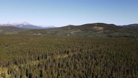 Vasto-Bosque-Boreal-Parcialmente-Registrado-En-Las-Afueras-De-Las-Montañas-Rocosas-Canadienses-En-Un-Día-Soleado
