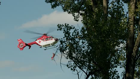 Medical-crew-hanging-from-flying-Red-cross-Helicopter---Trees-in-foreground---sunny-day---slowmotion