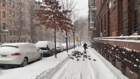 Frau-Geht-Durch-Einen-Schwarm-Tauben-Auf-Dem-Verschneiten-Bürgersteig-Von-New-York-City