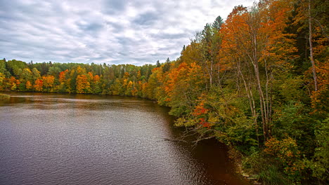 Naturzeitraffer-Eines-Herbstlichen-Waldes-Am-Flussufer-Mit-Grünen,-Orangefarbenen-Und-Gelben-Blättern