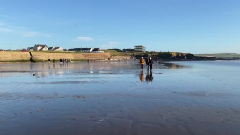 Sunny-Christmas-Day-at-the-beach-with-people-enjoying-it,-walking-dogs,-swimming