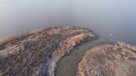 Drone-View-of-Creek-and-Lake-in-Scandinavia,-Rural-Landscape---Tilt-Shot-and-Dolly-In-Shot