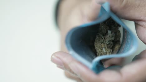 Medicinal-CBD-cannabis-showing-to-camera-inside-packaging