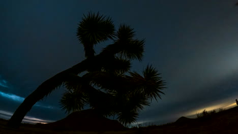 Zeitraffer-Von-Tag-Zu-Nacht-Mit-Einem-Joshua-Baum-Im-Vordergrund-Und-Einem-Hügel-In-Der-Mojave-Wüste-Im-Hintergrund,-Während-Der-Vollmond-Hinter-Der-Atmosphärischen-Wolkenlandschaft-Aufsteigt